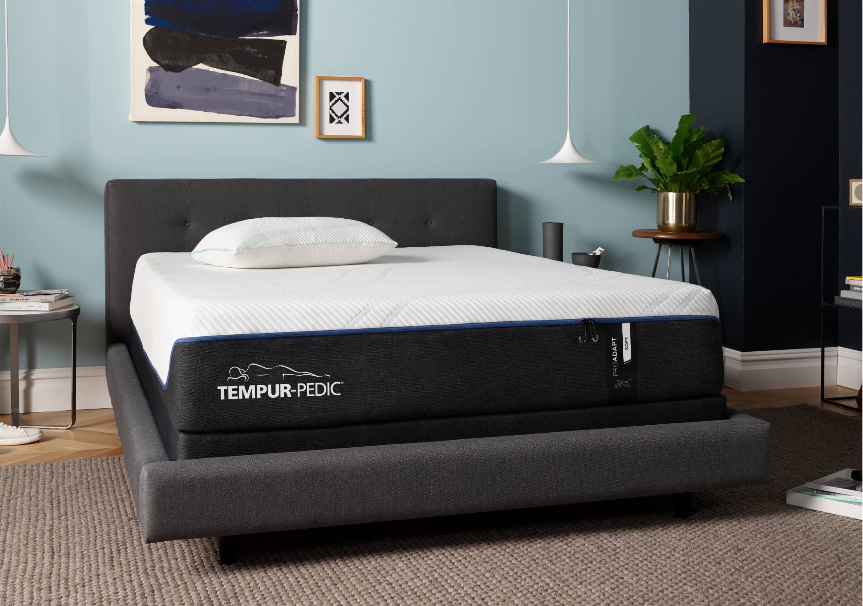 TEMPUR-ProAdapt® Cover Image